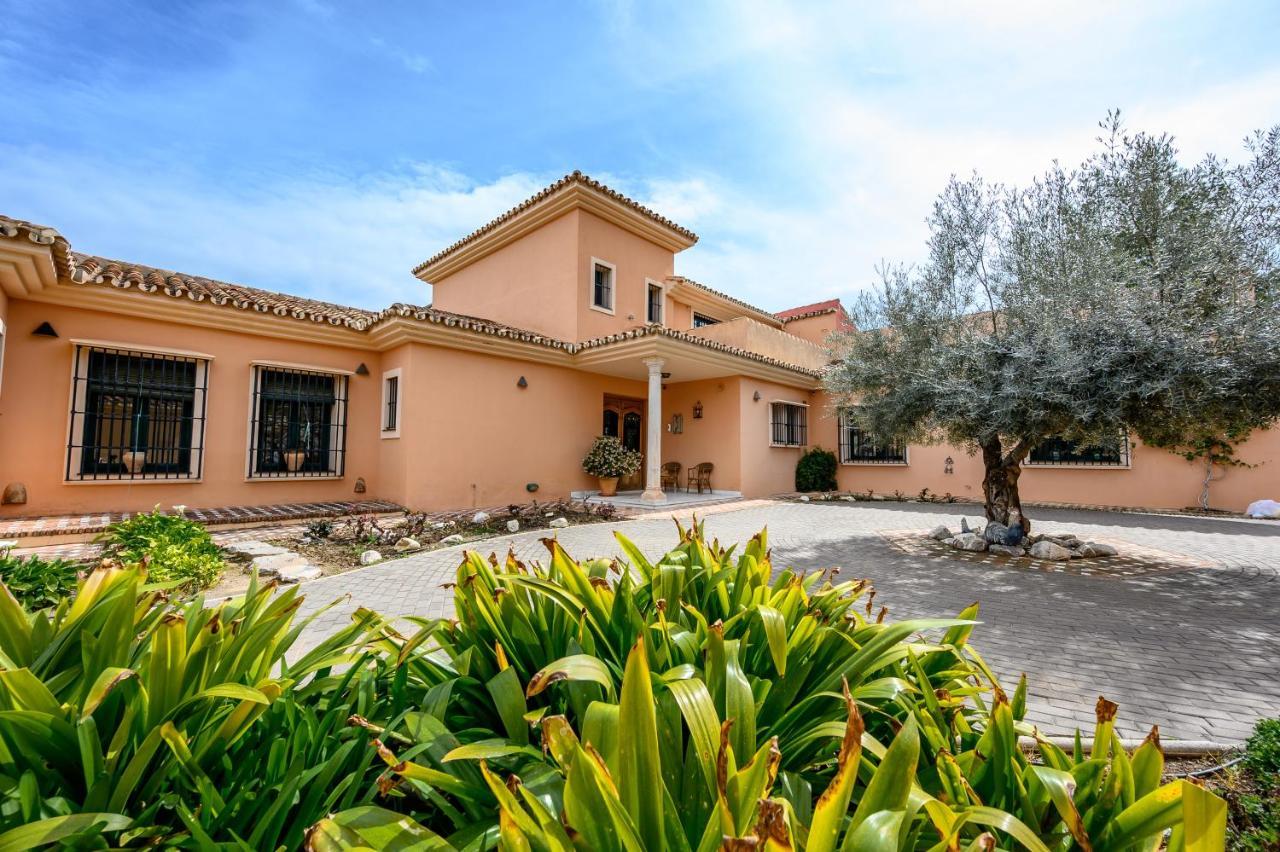 Villa Saguaro Malaga Alhaurín de la Torre Kültér fotó