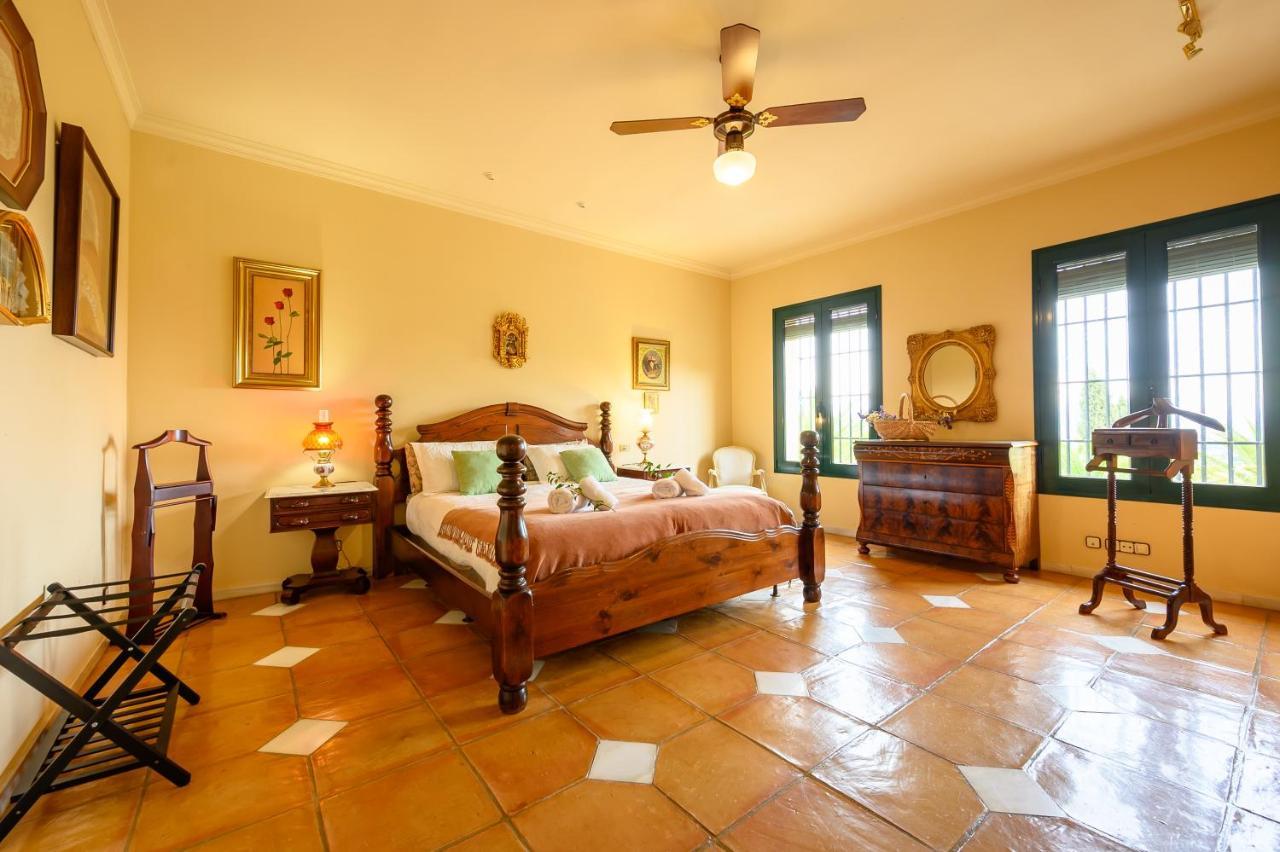 Villa Saguaro Malaga Alhaurín de la Torre Kültér fotó