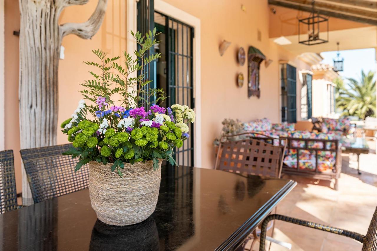 Villa Saguaro Malaga Alhaurín de la Torre Kültér fotó
